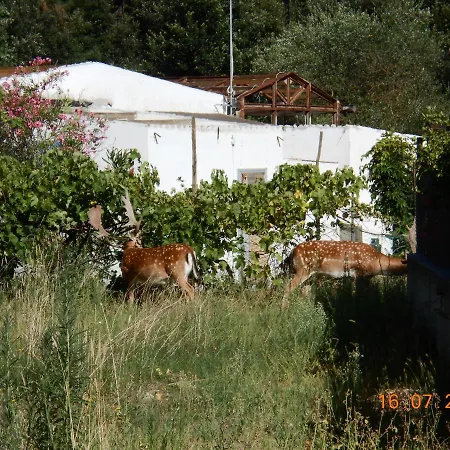 Fewo-am-adriastrand Via 15 Vakantiehuis *
